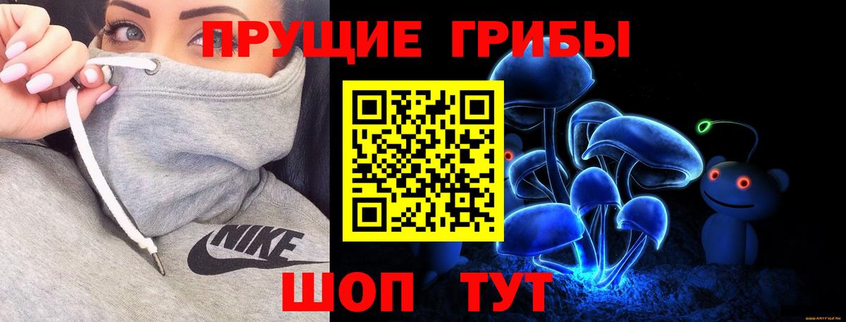 Галлюциногенные грибы мицелий  Псилоцибиновые грибы GOLDEN TEACHER  Тында  Вход с VPN 